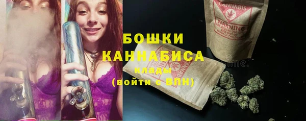 крисы Горнозаводск