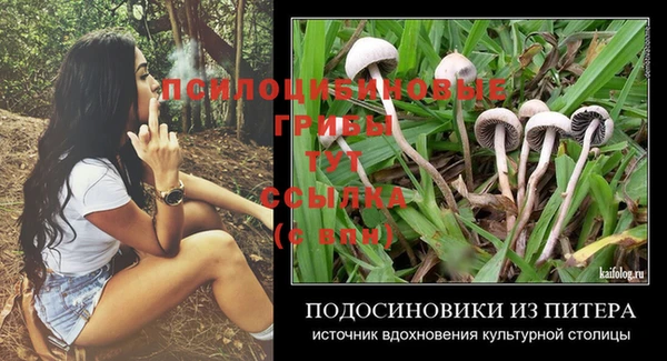соль курить ск Горно-Алтайск